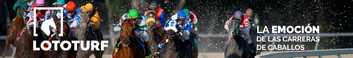  Imagen 2para promocionar la tienda Lo Marraco Magic